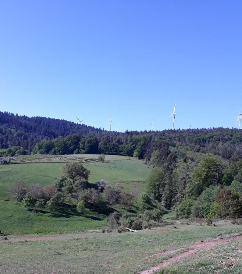 Bergfeldhof Villa Haingrund Kültér fotó